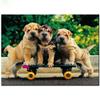 1000 Piece Wooden Puzzle for Adults Three Shar Pei Dog Playing Skateboarding Jigsaw Puzzle Challenging for Youth Children Fun Puzzle Family Game Preschool Toys Best Gift view 1