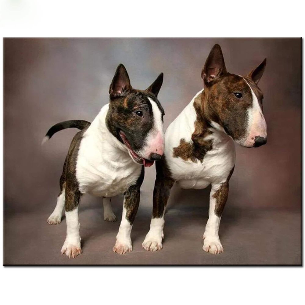 Bull Terrier Animal Puzzle 1000 Piece Jigsaw Puzzles for Adults Children The Young Challenge Puzzle Modern Home Decor Development Toys Funny Games Best Gift for Dogs Lover