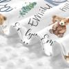 Personalized Baby Car Seat Cover Custom Name CarSeat Canopy Customized Bear Newborn Nursing Breastfeeding Cover Minky Baby Blanket Infant Car Seat Canopies for Baby Girls Boys view 4