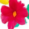 AIMOFAMAG Sleeve Cloth Feather Flower Bouquet Professional Magician Gimmick Stage Magic Trick for Magic view 3