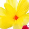 AIMOFAMAG Sleeve Cloth Feather Flower Bouquet Professional Magician Gimmick Stage Magic Trick for Magic view 4