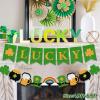 16pcs St Patricks Day Banner, Glitter Lucky Banner with St Patrick's Day Garland, St Patricks Day Decorations, St Pattys Day Accessories, Spring Shamrock Decorations, St Patrick's Day Party Favors view 2