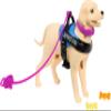 Barbie Brunette Fashion Doll & Service Dog, Wheelchair, Ramp & Accessories view 3