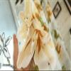 100 Panel Width Sheer Curtains Gauze Kids Childern Room Decor Luxury Peony Flower Pattern view 2