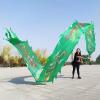 CMYUN Dragon Poi Silk Ribbon Dancer with Dragon Phoenix Pattern, Washable Gymnastics Dragon Poi Kite Streamers with Head, Adult Seniors Exercise Twirler (Color : Green, Size : Length - 6m/19.5ft) view 1