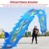 CMYUN Dragon Poi Silk Ribbon Dancer with Dragon Phoenix Pattern, Washable Gymnastics Dragon Poi Kite Streamers with Head, Adult Seniors Exercise Twirler (Color : Green, Size : Length - 6m/19.5ft) view 3