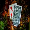Bonfires Green (Includes Card Magic Course) by Adam Wilber and Vulpine view 1