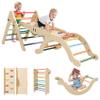 BIERUM Pikler Triangle Set - 8 in 1 Toddler Climbing Toys Indoor Wooden, Montessori Pickler Climbing Set with Ramp, Foldable Baby Climbing Gym, Rainbow view 1