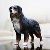 WLNTDOLA JJM Bernese Mountain Dog Resin Animal Model Collector Gift view 1