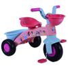 Princess Premier Pas Tricycle view 1