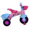 Princess Premier Pas Tricycle view 2