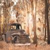 1000 Piece Jigsaw Puzzle for Adults - Farm Old Car and Barn Autumn Forest Challenging Educational Game Party Activities Toys Gifts Wooden Puzzles Modern Home Decoration view 1