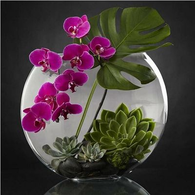 1000 PCS Jigsaw Puzzle Orchids and Succulent Plants Puzzle,Fun Game for Adult and Children,Educational Toys,The Best Gift for Birthday and Wedding Day