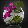 1000 PCS Jigsaw Puzzle Orchids and Succulent Plants Puzzle,Fun Game for Adult and Children,Educational Toys,The Best Gift for Birthday and Wedding Day view 1