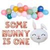 100% LIKED-Some Bunny Is One, Easter Themed 1st Birthday First Birthday Party Supplies, Hoppy Birthday Banner Easter Rabbit Themed Baby Girls 1st Birthday Decorations, Bunny Balloon view 1