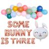100% LIKED - Some Bunny Is Three, 3rd Birthday Party Supplies - Pink, Green, Blue Balloons - Hoppy Birthday Banner - Easter Rabbit Themed - Girls' 3rd Birthday Decorations view 1