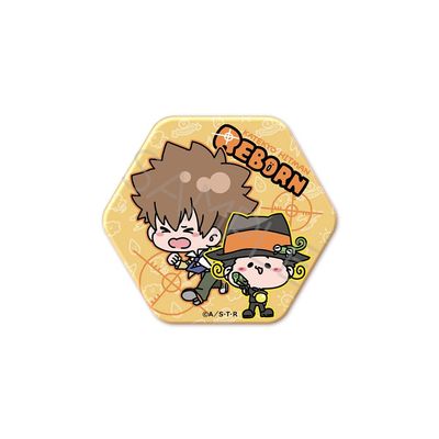 TV Anime "Katekyo Hitman REBORN!" (Reborn & Sawada Tsunayoshi) Hexagonal Can Badge MA