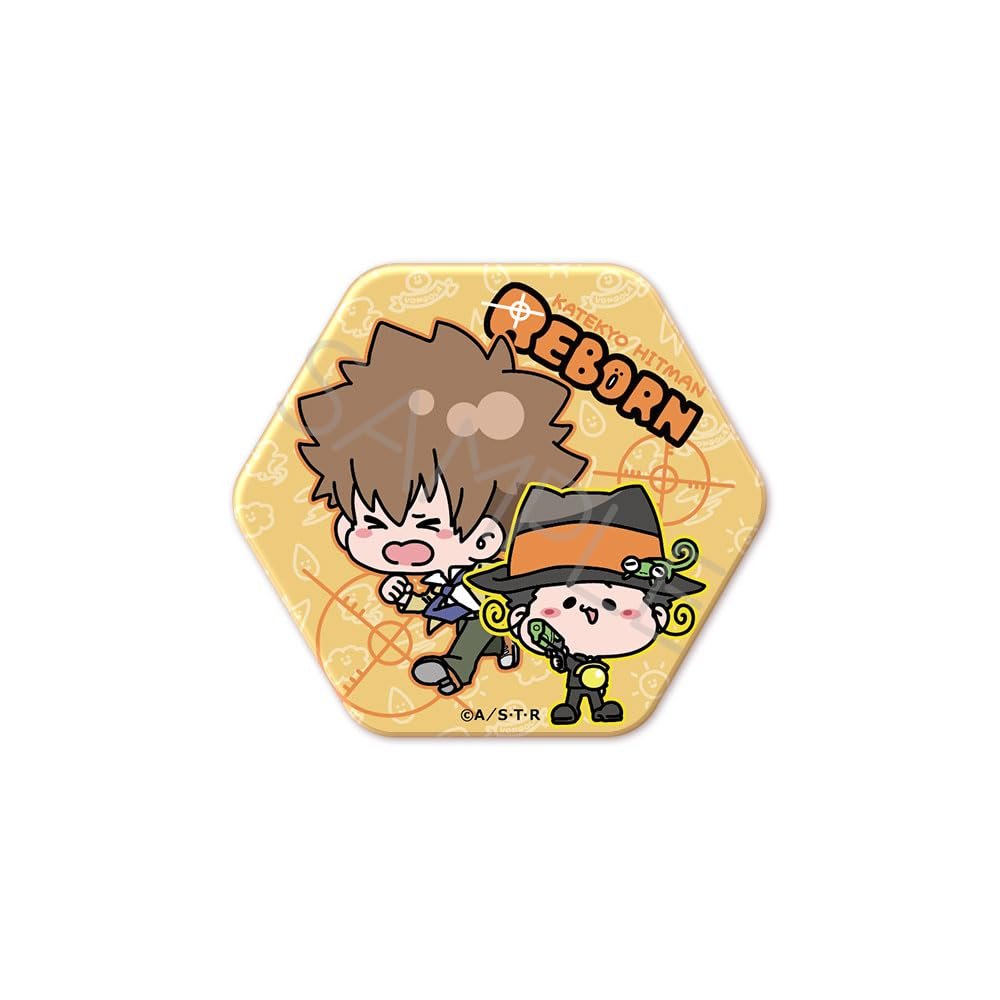 TV Anime "Katekyo Hitman REBORN!" (Reborn & Sawada Tsunayoshi) Hexagonal Can Badge MA