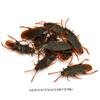 10PCS Fake Cockroach Realistic Plastic Roach Insects Joke Toys Prank Scary Trick Bugs,ealistic Roach Cockroach Plastic Fake Cockroach Novelty Insects Bugs Joke Toys view 2
