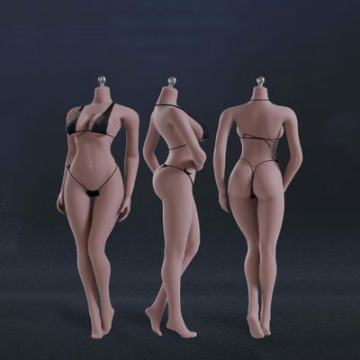 1/6 Scale Female Body,12inch Female Large Bust Super Flexible Seamless Action Figure Body Collection (S06B Suntan Skin)