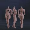 1/6 Scale Female Body,12inch Female Large Bust Super Flexible Seamless Action Figure Body Collection (S06B Suntan Skin) view 1
