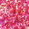 Valentine's Day Rice Filler for Sensory Bins, Pink & Red Rice for Sensory Valentine's Activity, DIY Sensory Pretend Play (6 Cups) view 1