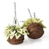 Odoria 1/12 Miniature Hanging Plants Mini Tiny Potted Plant Miniatures Dollhouse Decoration Accessories Doll House Accessory, 2Pcs Light Green view 2