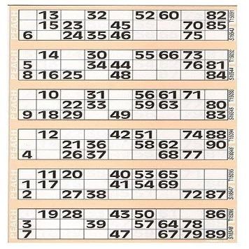 750 Bingo Card Booklet (Peach)