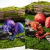 3D Printed Dragon Egg With Fully Articulated Crystal Dragon Inside - Easter Egg Fidget Toy, Home Office Decor, Executive Desk Toy view 3