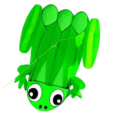 3D Single Line Software Frog Kites, Sports Beach with Kite Handle and String Easy to Fly