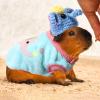 Clysee 10 Pcs Guinea Pig Clothes, 5 Guinea Pig Costume Outfit, 5 Mini Hat with Adjustable Strap Small Animal Warm Vest Sweater Cozy Hand Knitted Hat for Hamster Bunny (Fresh Style) view 4