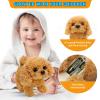 KSABVAIA Plush Teddy Toy Puppy Electronic Interactive Dog - Walking, Barking, Tail Wagging, Stretching Companion Animal for Kids Toddlers view 4