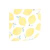 Hudson Baby Unisex Baby Flannel Cotton Washcloths, Lemon Daisy 12 Pack, One Size view 3