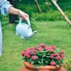 2Pcs Watering Can Plastic Watering Can Elephants Watering Pot Sprinkling Can Water Can Toy view 3