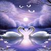 1000 Piece Moonlight White Swan Couple Wooden Jigsaw Puzzle, Challenging and Fun Activity - Interesting and Warm Art Adult Puzzles - Modern Home Decor Ideal Gift (30x20inch) view 1
