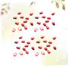 VANZACK 50pcs Ladybug Shaped Landscape Decor Chic Tabletop Crafts for Cute Miniature Ornaments for Living Room and Garden Adornment view 4