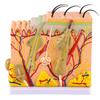 50X Three Dimensional Human Skin Magnified Model Anatomy Biology Teaching Aid with 25 Labeled Diagrams for Learning view 3