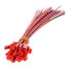 Hemoton 10pairs Pin Jst Connectors Male Female with Silicone Wire Red Black for Rc Cars and Drones Durable Easy to Install view 1