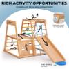AVDAR Indoor Jungle Gym, Toddler Climbing Playset, Wooden Montessori Indoor Playground for Kids, Climbing Toys for Toddlers 1-3,Easy Assembly, Safe & Sustainable view 3