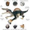 MAMABOO Remote Control Dinosaur Toys for Boys Electronic RC Spray Raptor Toy Walking Roaring Jurassic Spinosaurus Realistic 18.1" Dino Rechargeable Birthday Gift for Kids 3 4 5 6 7 8 view 3