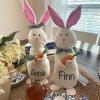 Personalized Super Soft Plush Bunny with Carrot, 14'' Stuffed Animal Toy Children'S First Companion Toys | Spring Decor | Easter Decor | Beanie Bunny | Easter Rabbit view 4