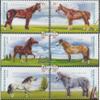 Argentina 2607-2612 (Complete.Issue.) unmounted Mint/Never hinged ** MNH 2000 Horses (Stamps for Collectors) Horses/Zebras view 1