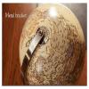 NTIYOU Geographic Globes Newest World Globe Led Lighted Globe Light 20/25/32cm Retro World Globe, World Globe with Wooden Stand 3D Embossed Globe Studio (Color : 25cm) view 4