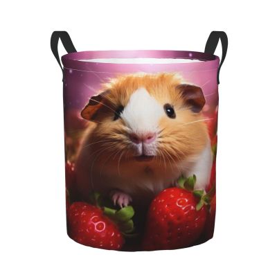 Foruidea Guinea Pig Strewberry Laundry Basket,Laundry Hamper,Collapsible Storage Bin, Oxford Fabric Clothes Baskets,Nursery Hamper For Home,Office,Dorm,Gift Basket