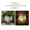 ATMRC World Globe Elegant Classic Newest with Chrome Metal Base Stand Black and White Globe Lighting Led World Globe for Home Office Classroom view 4