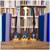Wizarding World Harry Potter, 12-inch Magical Collector Ron Weasley Wand, Stand & Die-cast Icon, Magical Artifacts, Accessory for Costumes view 3