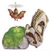 GrossMos Flying Dino (Orange), Interactive, Ages 4+ Years view 1