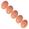 Baluue 5pcs Realistic Wooden Eggs for DIY Crafts Easter Decorations and Creative Projects Vivid Faux Eggs for Home Parties and Imaginative Play view 1