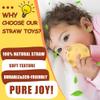 ROHSCE Sensory Balls for Babies - 6 Pack, Ball for Toddlers 1-3, Soft & Textured Montessori Baby Toys 6 to 12 Months, Wheat Straw Toddler Balls for Infant Development view 3