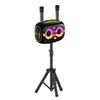 Portable Bluetooth Speaker with 2 Microphones & Tripod, 120W Output, Upto10H Playtime, On-The-Go Party Box Karaoke with Built-in RGB Lights Strong Vibration IPX6 Splashproof (Black) view 1